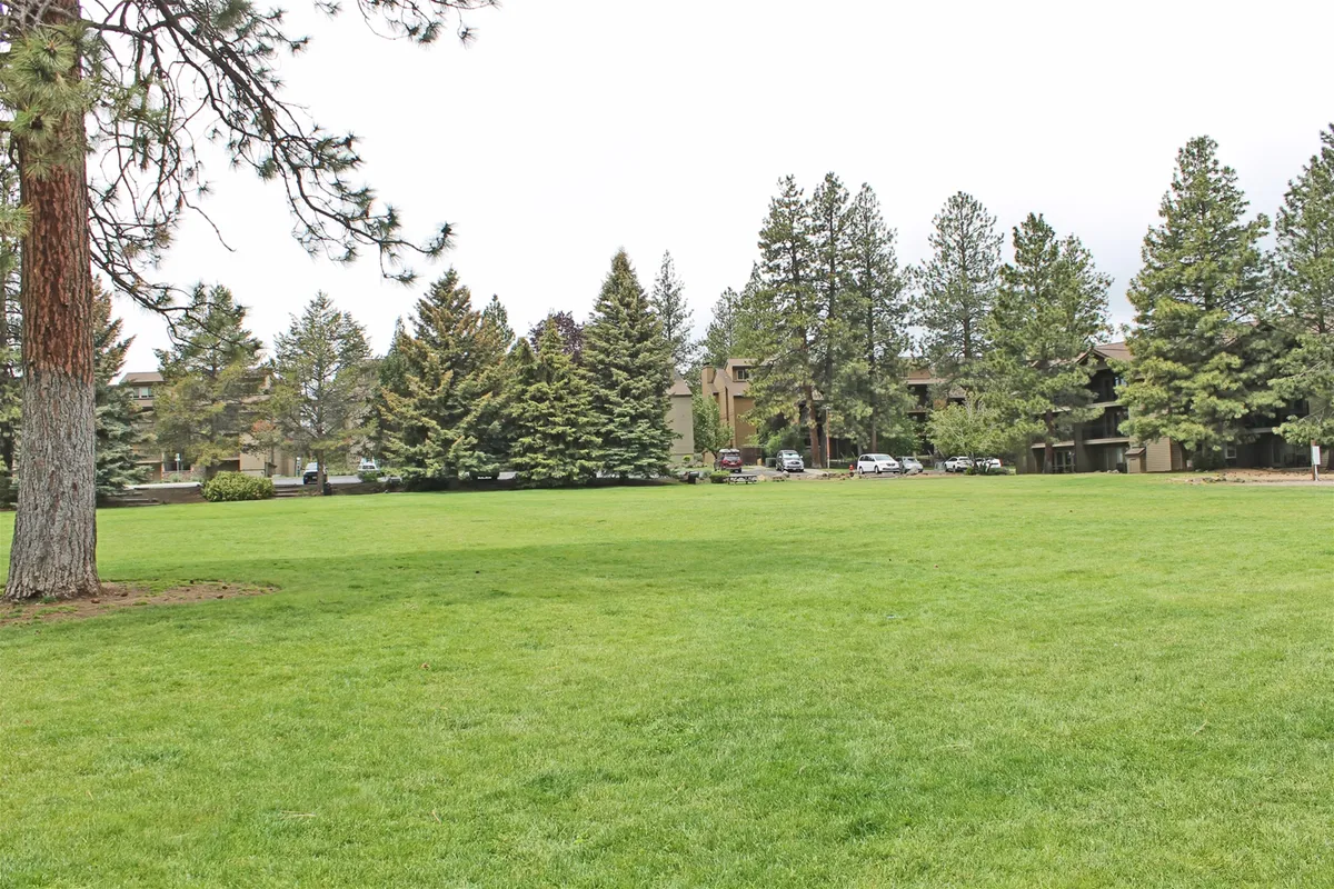 A wide, sunlit green lawn bordered by tall evergreens and surrounded by apartment-style buildings. The open space offers ample room for outdoor activities such as picnicking, playing frisbee, or walking dogs. The calm and inviting atmosphere suggests a pet-friendly environment where guests can enjoy time with their dogs directly on the resort grounds.