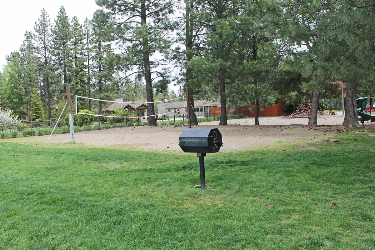 A vibrant outdoor scene featuring a volleyball court, barbecue grill, lush green grass, and mature trees. The area is designed for socializing and leisure, providing plenty of space for both people and pets to stretch out and enjoy nature together. The scene is lively and active, reinforcing the sense of outdoor adventure.